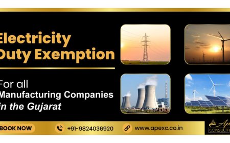 Ashish shah of Apex consultants providing incentives consulting services to more than 1000 clients successfully