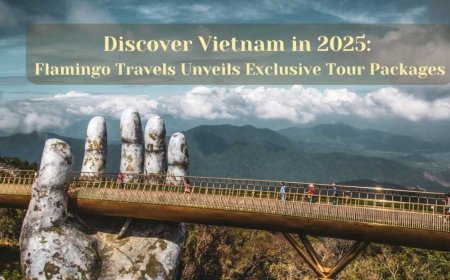 Discover Vietnam in 2025: Flamingo Travels Unveils Exclusive Tour Packages