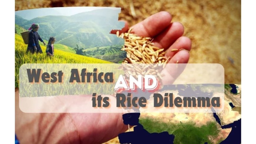 West Africa’s Rice Conundrum by Vivek Gahlaut, Co-Founder – Terra Firma Commodities, Dubai UAE