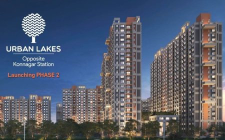 Urban Lakes: A Retreat Within City Limits