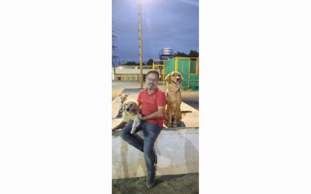 From Code to Cozy Dog Hostel: How a Family of IT Pros Built Bangalore’s Most Trusted Pet Resort