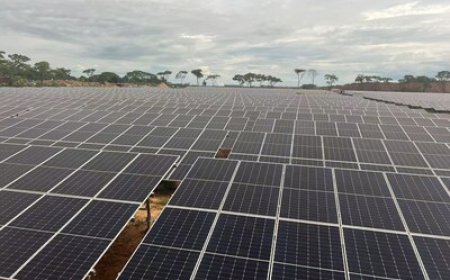 SANY Scales Up Green Energy Footprint in Africa with Breakthrough Solar Projects