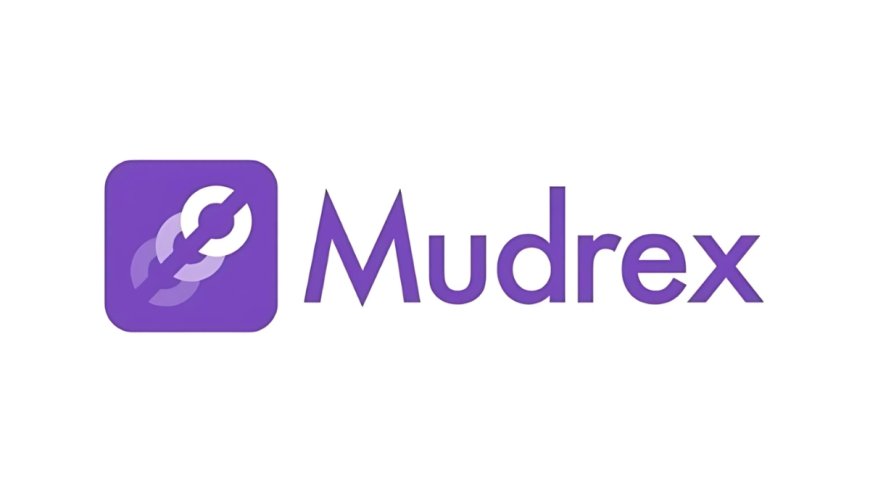 Mudrex Taps Digirovers for Web3 Growth Across Google and Meta