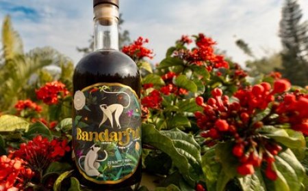 India's Bandarful Named World's Best Liqueur with Gold Medal at USA Spirits Ratings 2025