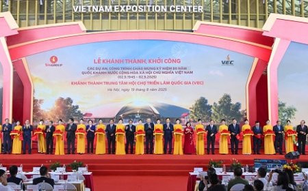 Vingroup Ranked Vietnam's Largest Private Contributor to the State Budget