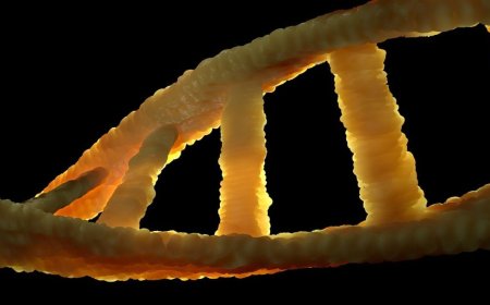 Stem Cell Therapy in Bangkok: A New Frontier for Regenerative Medicine