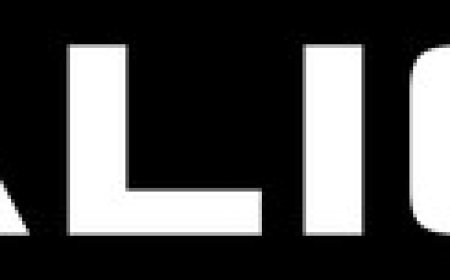 Valicy Gaming Launches as New Brand in Land-Based Gaming, Evolving from Grover Gaming