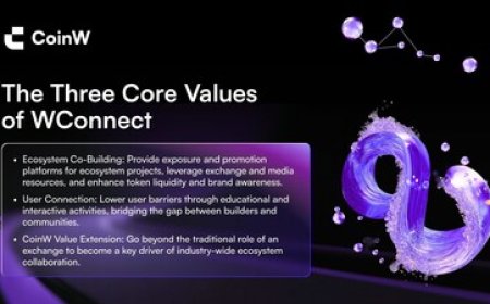 Cross-Ecosystem Co-Building: WConnect as a New Platform for Web3 Synergy