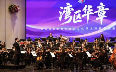 The fifth Guangdong-Hong Kong-Macao Greater Bay Area Culture and Arts Festival opens