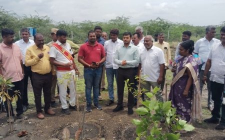 NTT DATA and SankalpTaru Foundation Transform 7-Acre Barren Land into Thriving Forest in Coimbatore