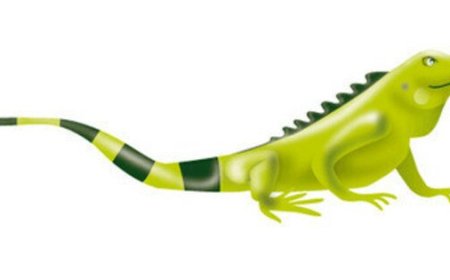 General Shareholders’ Meeting of Ecopetrol S.A.