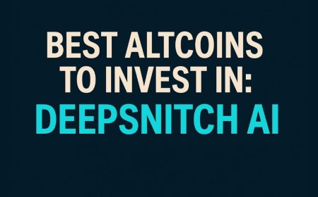 Best Altcoins to Invest In for Santa Rally: Brazil Finalizes Crypto Banking Rules as DeepSnitch AI Aims for a 50x Rally