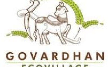 Molina Healthcare, Inc. Sued for Securities Law Violations – Contact the DJS Law Group to Discuss Your Rights