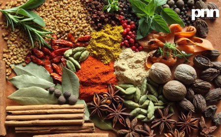 The Quest for Pepper: A Brief History of Modern Spices