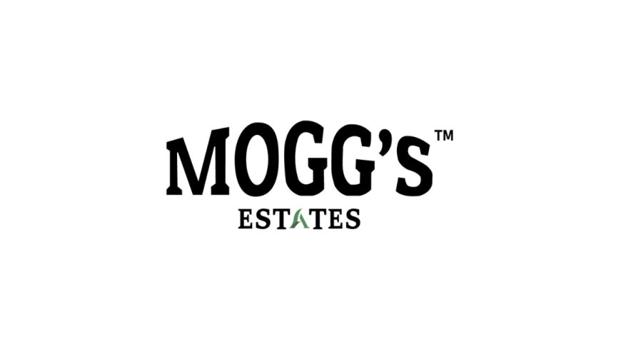 Cultivating a Legacy: How Mogg’s Estates is Redefining Managed Farmland Near Bangalore