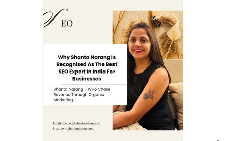 Why Shanta Narang Is Recognised As The Best SEO Expert In India For Businesses