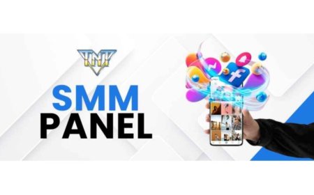 How Do SMM Panels Help Startups Gain Credibility and Reach Early Audiences?