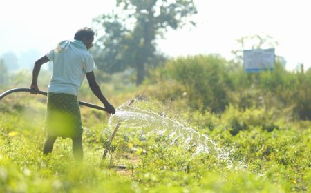 Vedanta Aluminium Enables Irrigation Across 800+ Acres in 41 Villages of Kalahandi