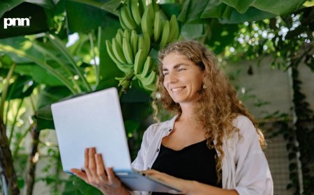 Email Funnel: How One Visitor Turns into Ongoing Revenue