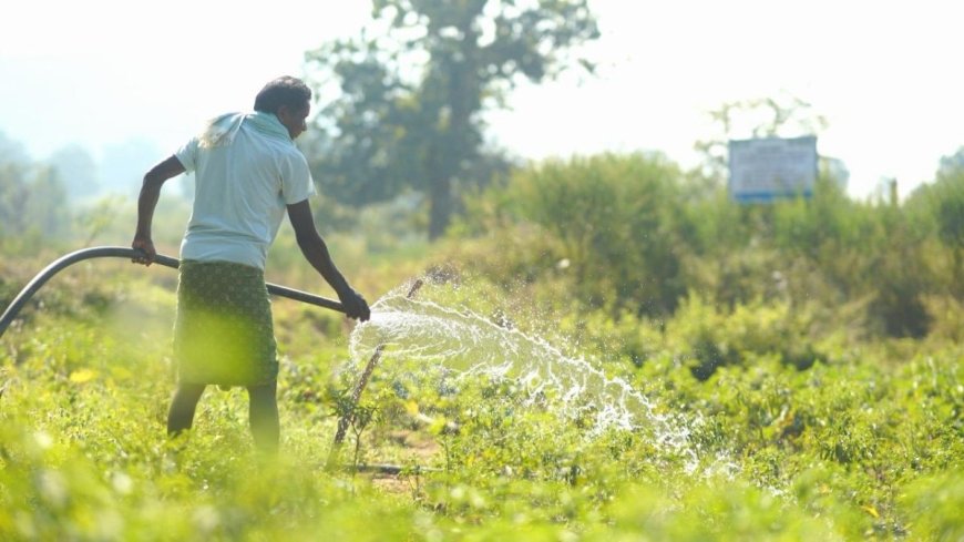Vedanta Aluminium Enables Irrigation Across 800+ Acres in 41 Villages of Kalahandi