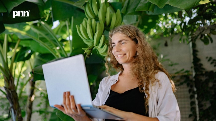 Email Funnel: How One Visitor Turns into Ongoing Revenue